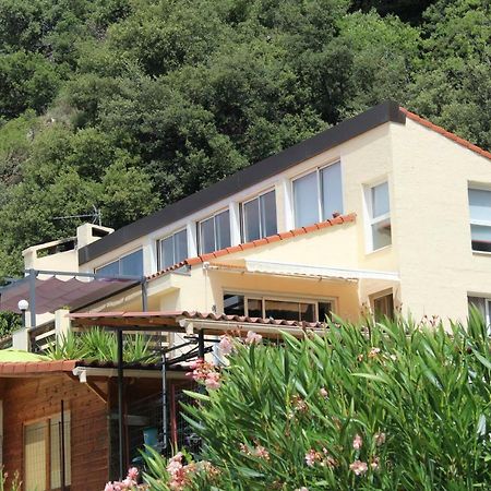 Mas Solar D'En Malcion Villa Amelie-les-Bains-Palalda ภายนอก รูปภาพ