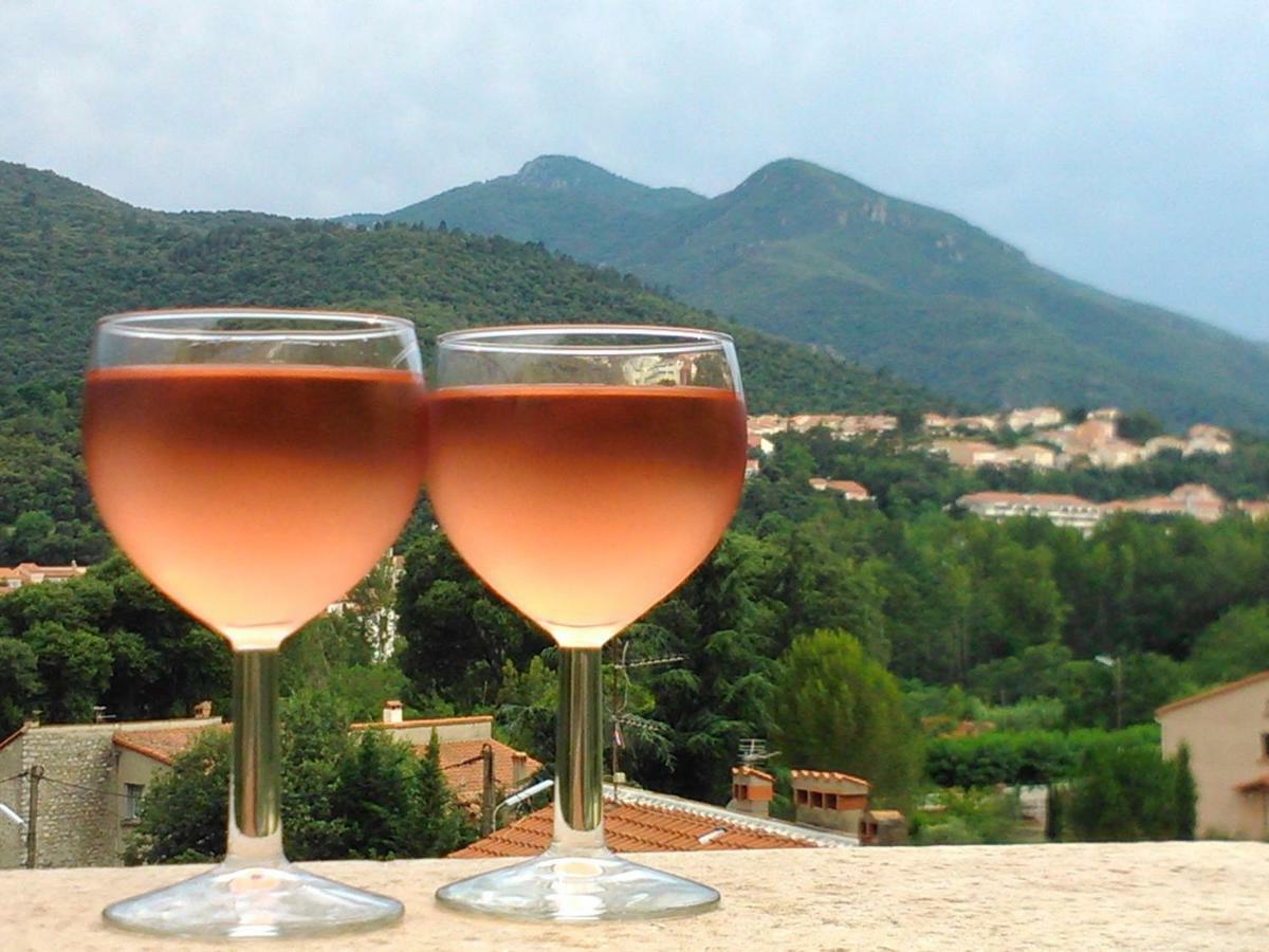 Mas Solar D'En Malcion Villa Amelie-les-Bains-Palalda ภายนอก รูปภาพ