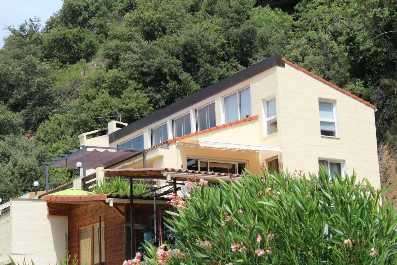 Mas Solar D'En Malcion Villa Amelie-les-Bains-Palalda ภายนอก รูปภาพ