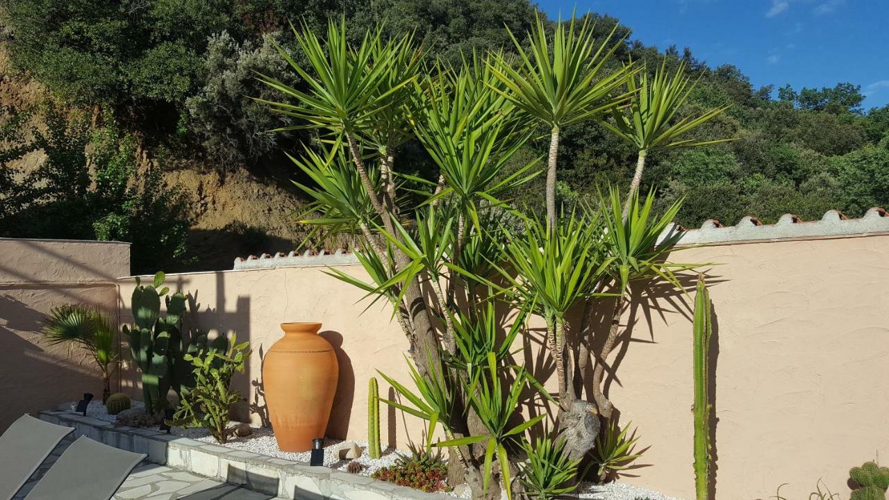 Mas Solar D'En Malcion Villa Amelie-les-Bains-Palalda ภายนอก รูปภาพ